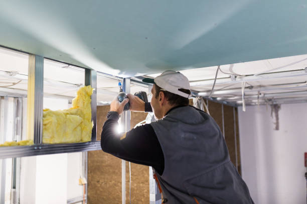 Garage Insulation Installation in Warson Woods, MO