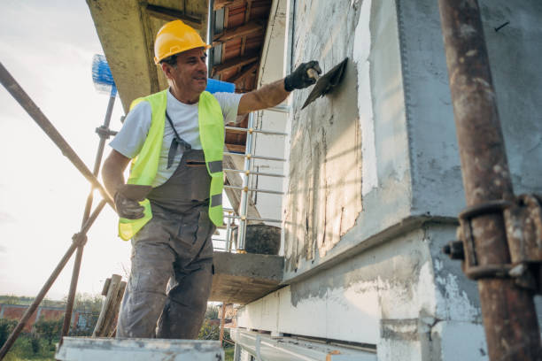 Best Professional Insulation Contractor  in Warson Woods, MO