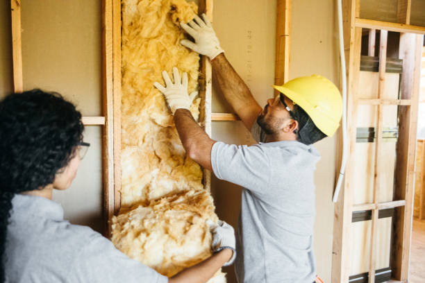 Best Attic Insulation Installation  in Warson Woods, MO