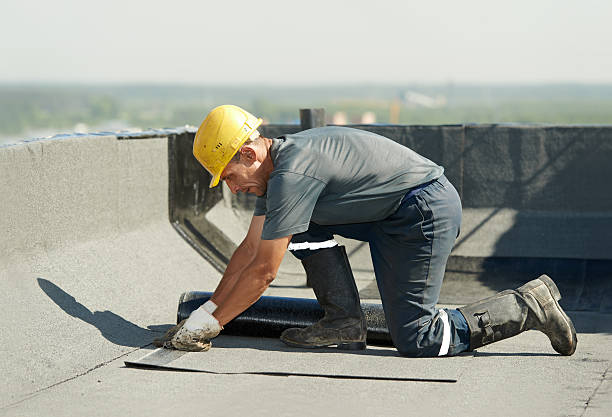 Best Attic Insulation Installation  in Warson Woods, MO