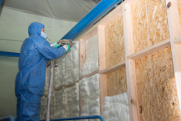 Best Insulation Removal Services  in Warson Woods, MO